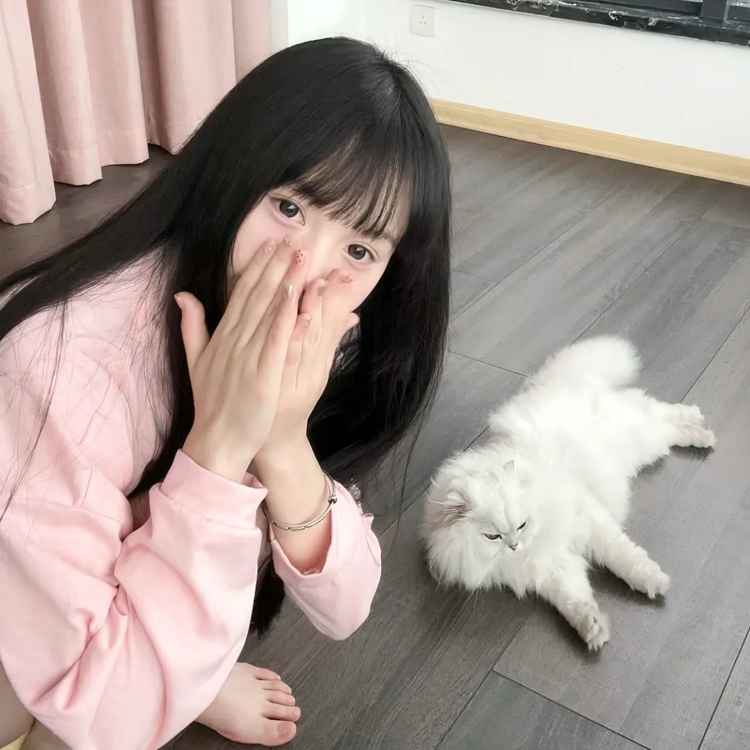 新边城浪子